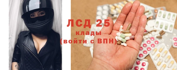 таблы Бородино