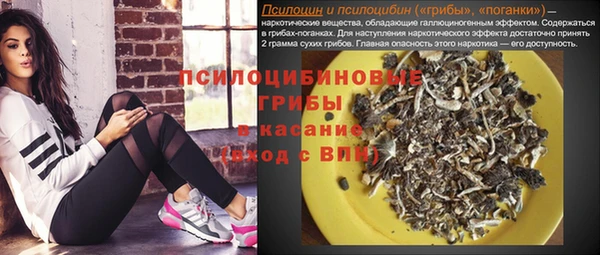 таблы Бородино