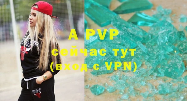 таблы Бородино