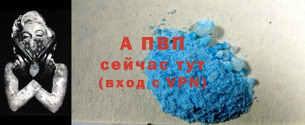 таблы Бородино
