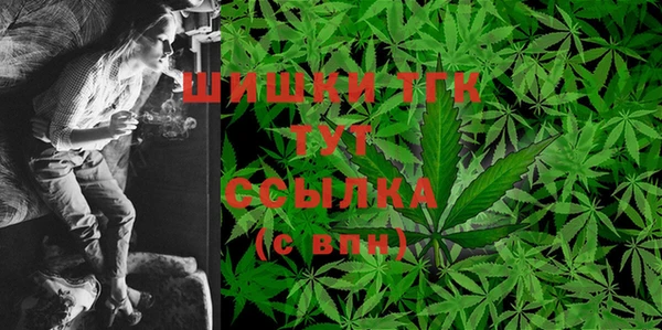 таблы Бородино
